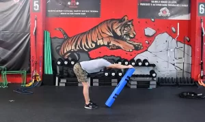 VIPR i Inertiawave